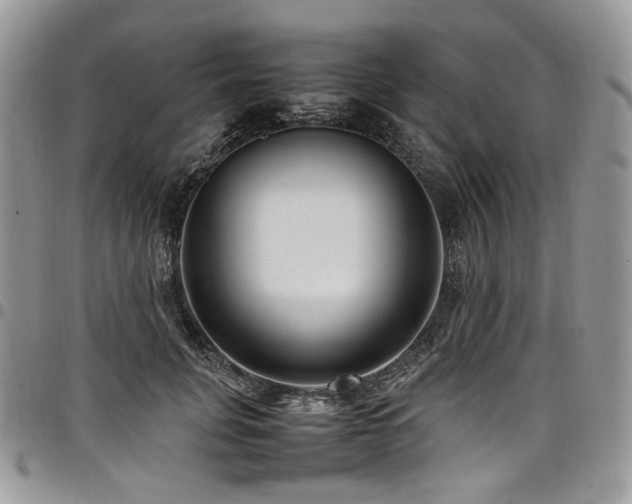 X0000098020751200803281334