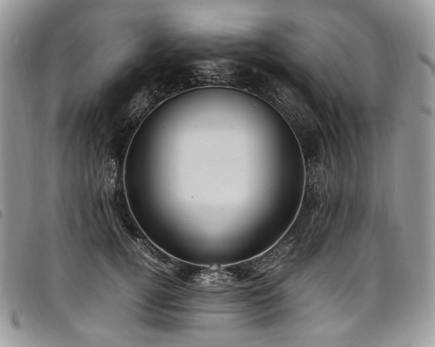 X0000098020752200803281334