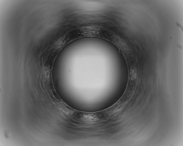 X0000098020753200803281334