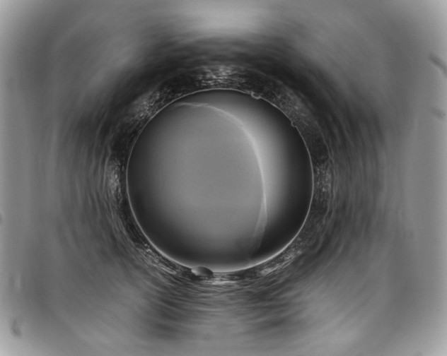 X0000098020754200803281334