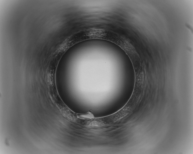 X0000098020755200803281334