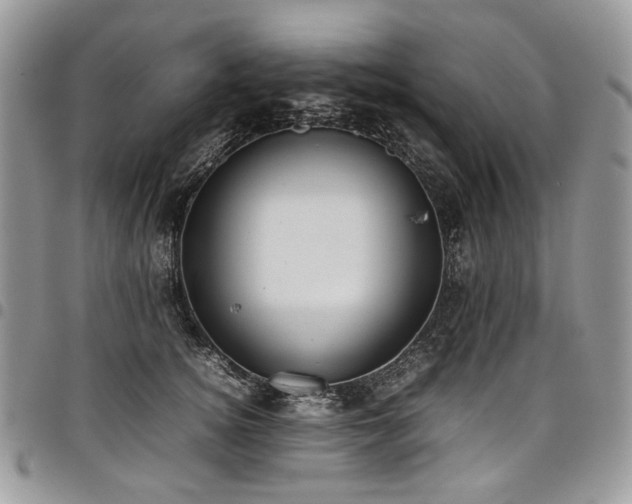 X0000098020756200803281334