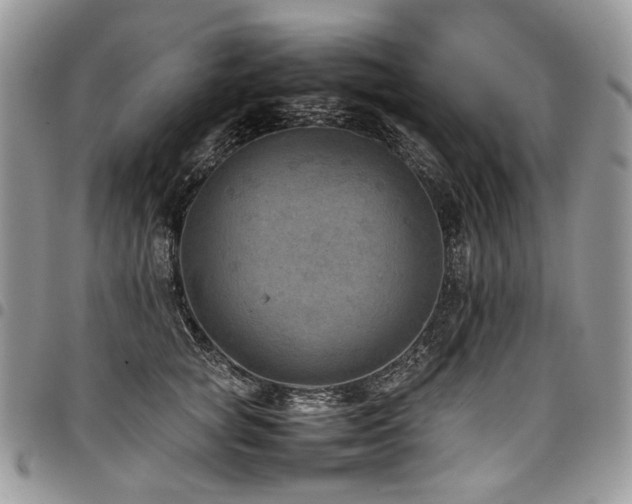 X0000098020757200803281334