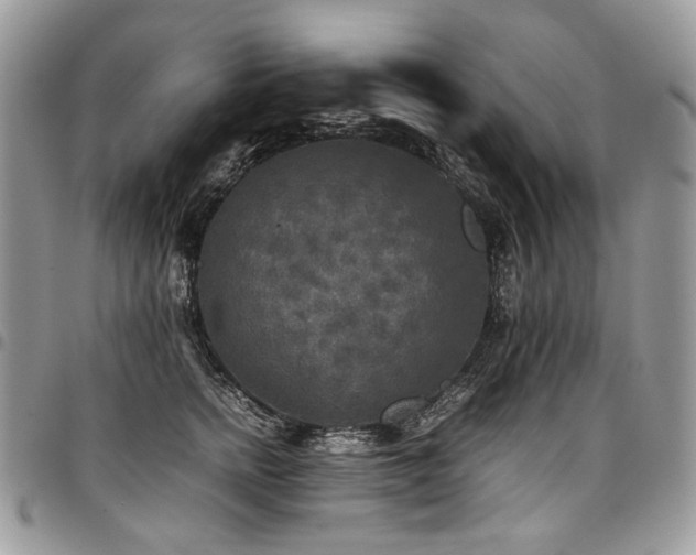 X0000098020758200803281334