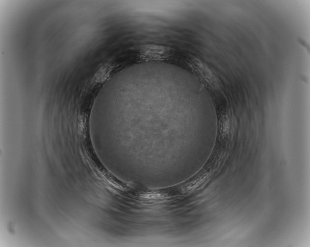 X0000098020759200803281334