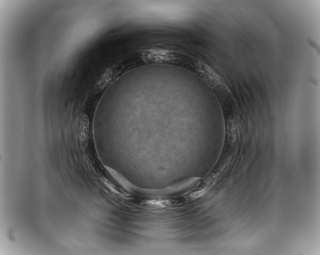 X0000098020760200803281334