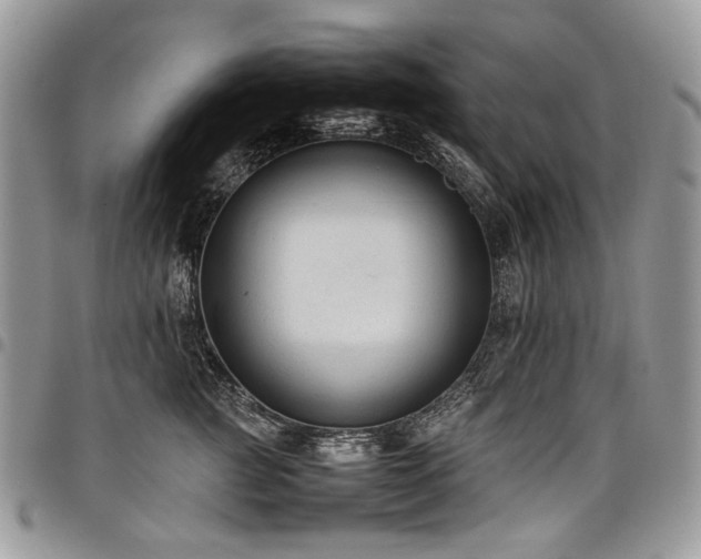 X0000098020761200803281334