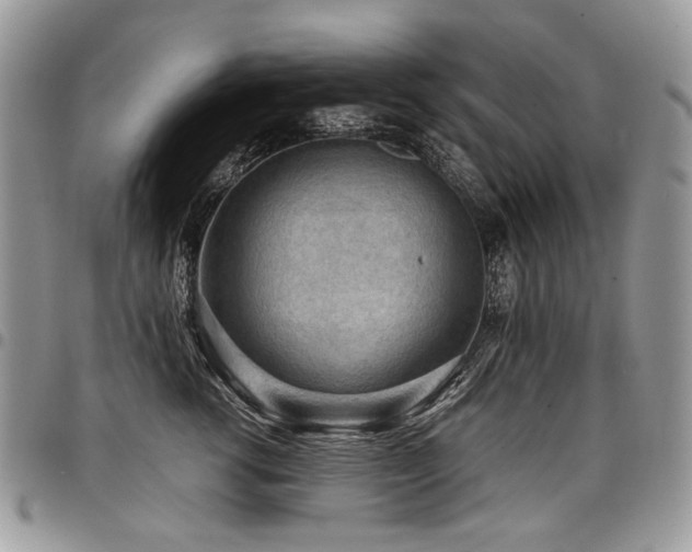 X0000098020762200803281334