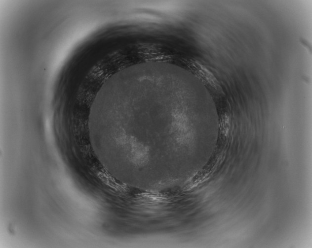 X0000098020763200803281334