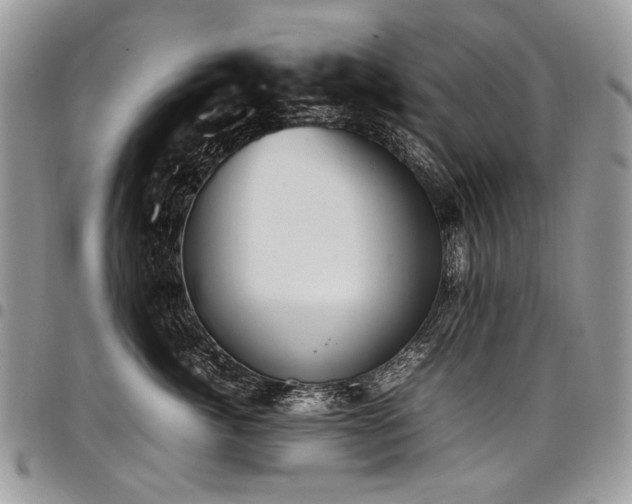 X0000098020764200803281334