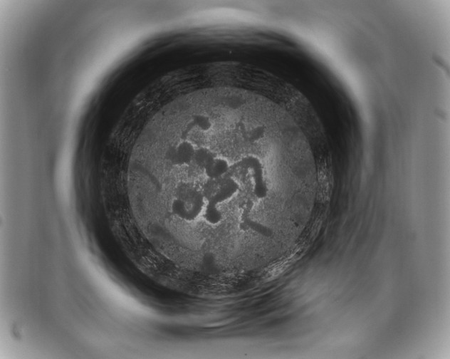 X0000098020765200803281334