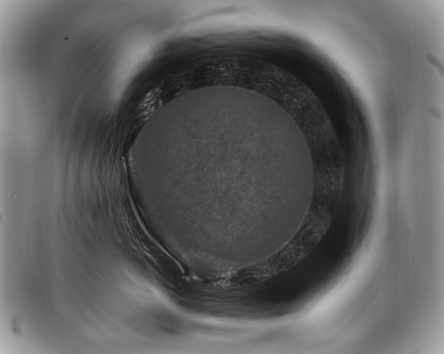 X0000098020766200803281334