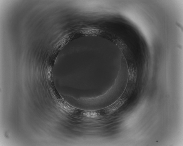 X0000098020767200803281334