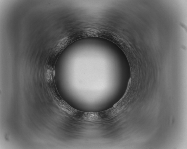 X0000098020768200803281334