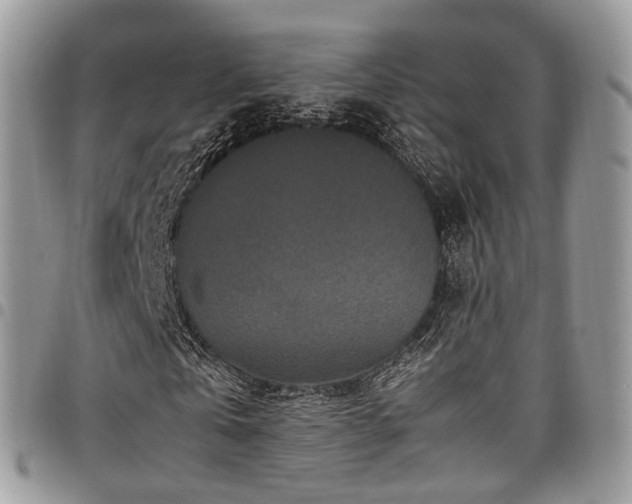 X0000098020769200803281333