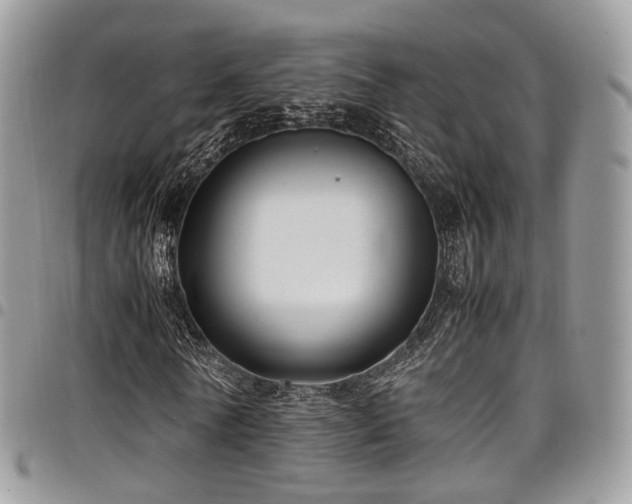 X0000098020770200803281333