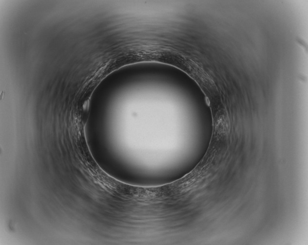 X0000098020772200803281333