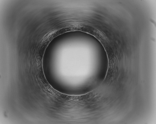 X0000098020773200803281333