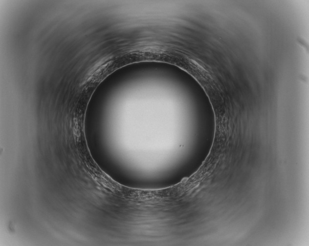 X0000098020774200803281333