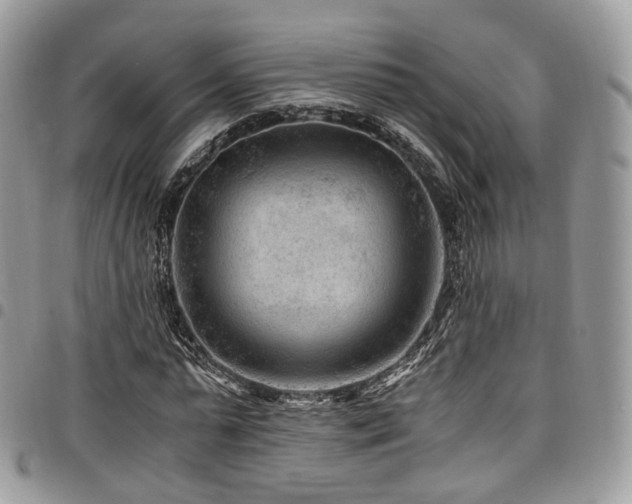 X0000098020775200803281333