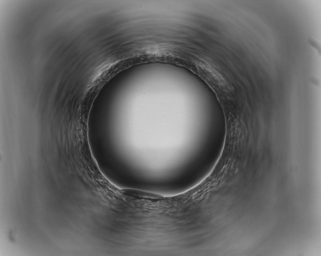 X0000098020776200803281333