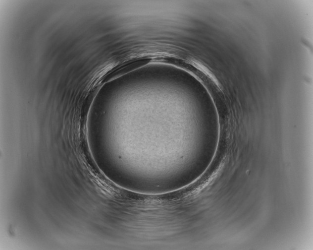 X0000098020777200803281333