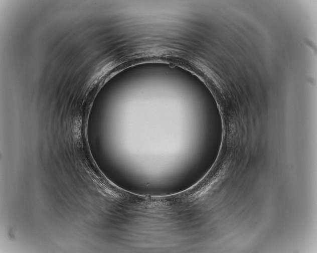 X0000098020778200803281333