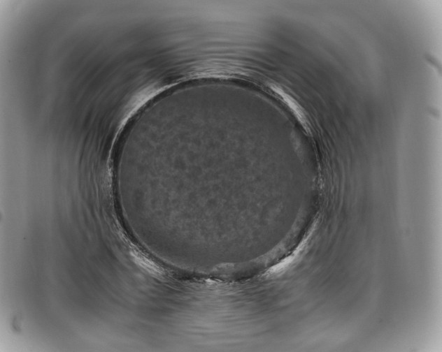 X0000098020779200803281333