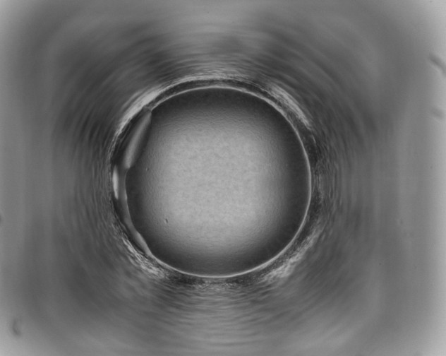 X0000098020781200803281333