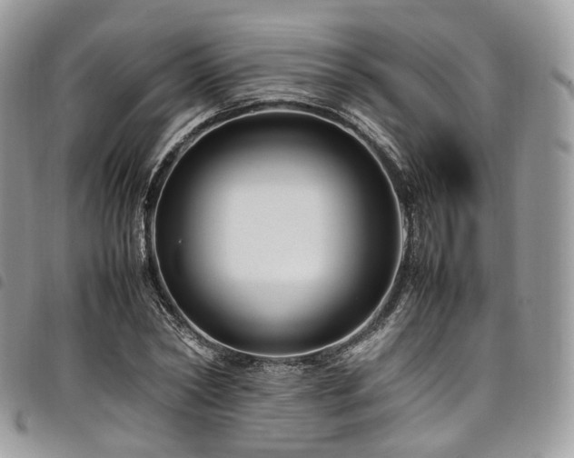 X0000098020782200803281333