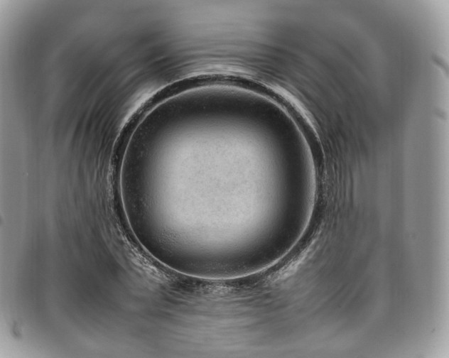 X0000098020783200803281333