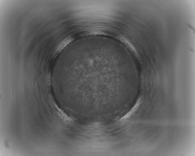 X0000098020785200803281333