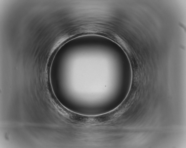 X0000098020787200803281333