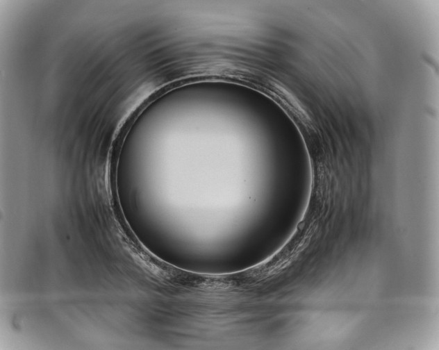 X0000098020788200803281333