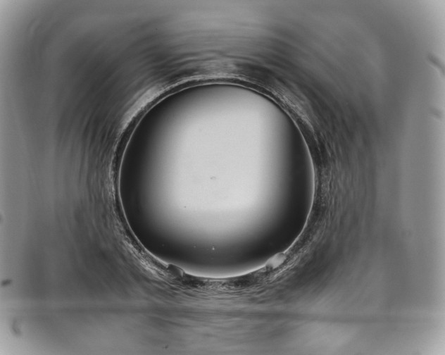 X0000098020789200803281333