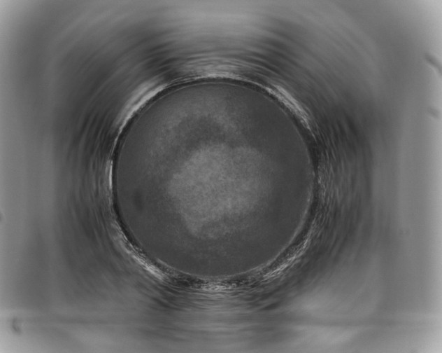 X0000098020790200803281333