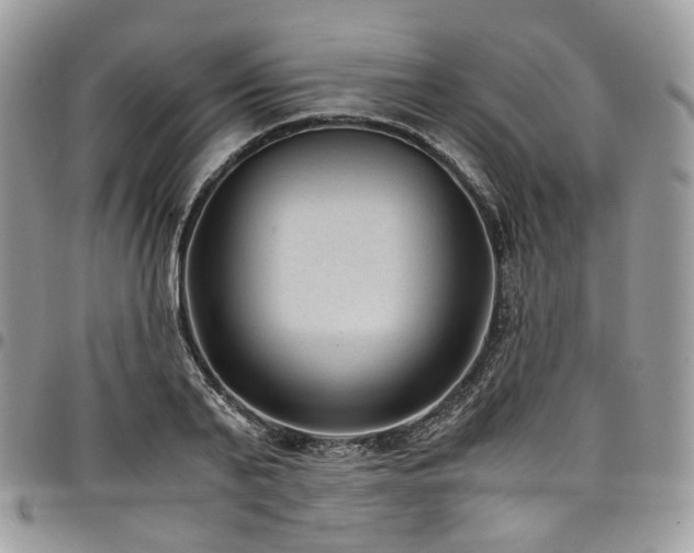 X0000098020791200803281333