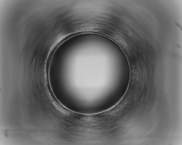 X0000098020792200803281333