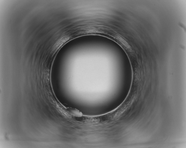 X0000098020793200803281333