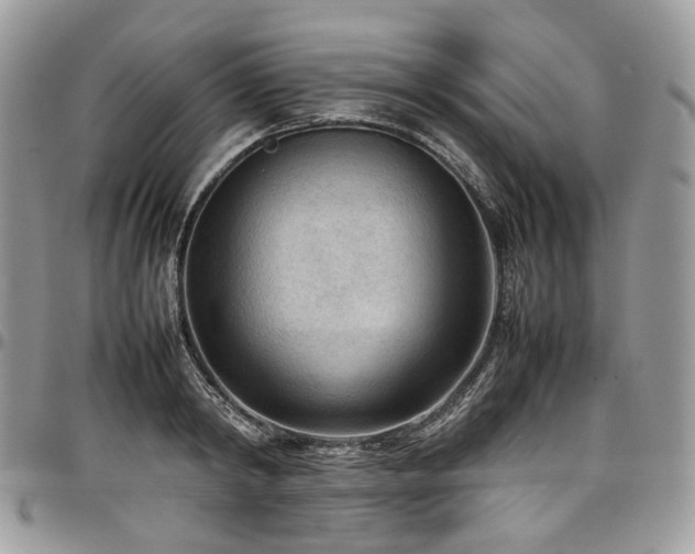 X0000098020798200803281333