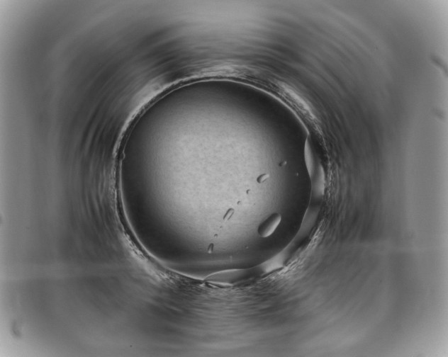 X0000098020800200803281333