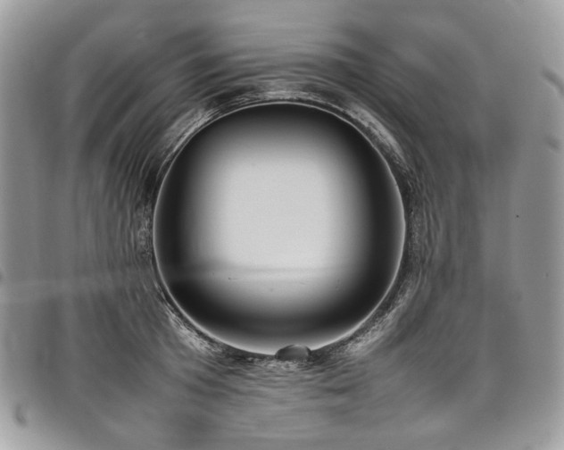 X0000098020801200803281333