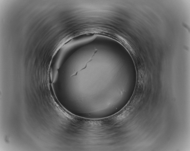 X0000098020802200803281333