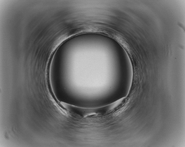 X0000098020803200803281333