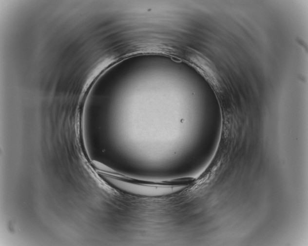 X0000098020804200803281333