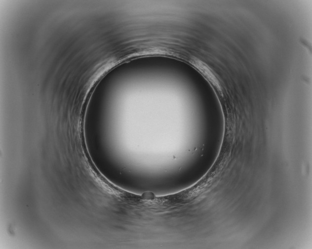 X0000098020805200803281333