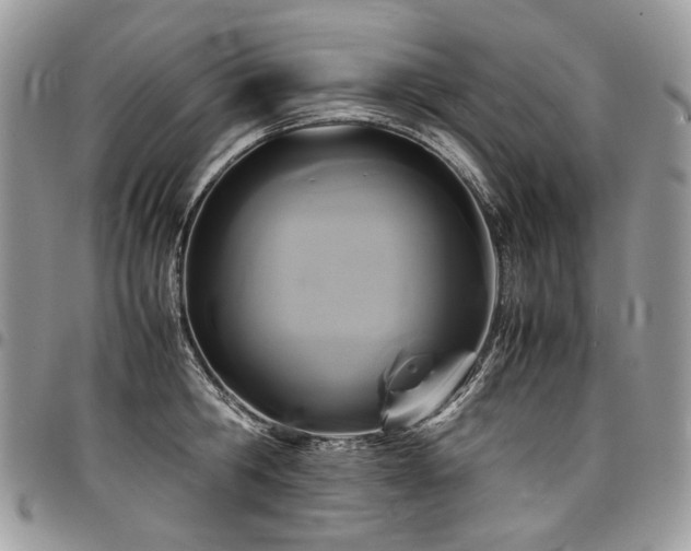 X0000098020806200803281333