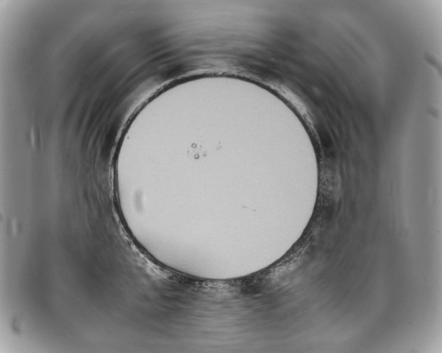 X0000098020807200803281333