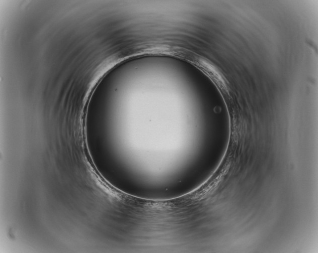 X0000098020808200803281333