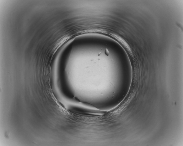 X0000098020809200803281333